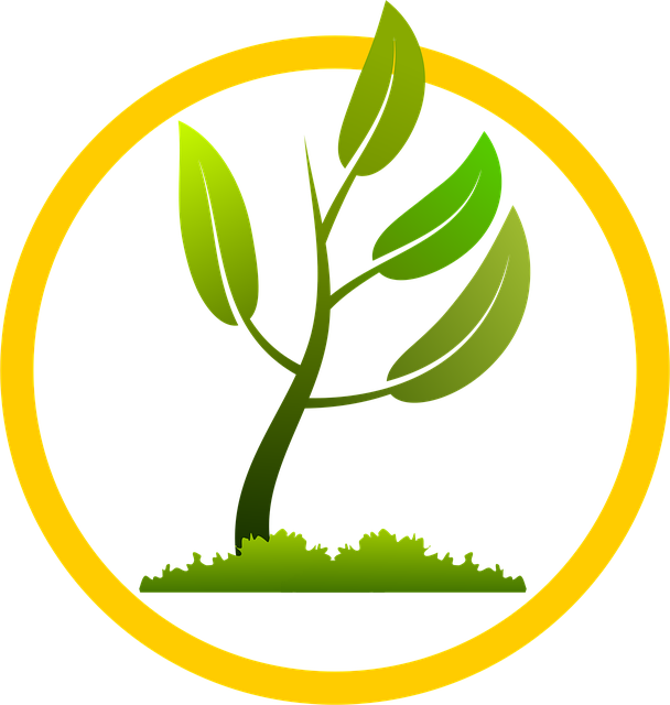 Free branch grow growing illustration