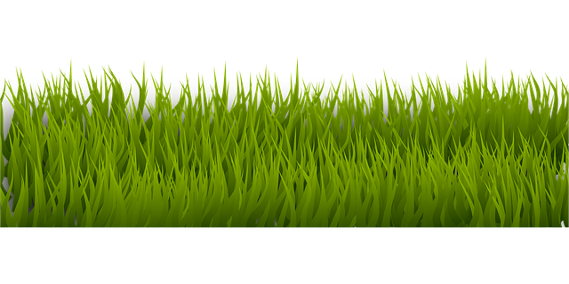 Free grass background border vector
