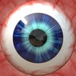 anatomy, eye, eyeball
