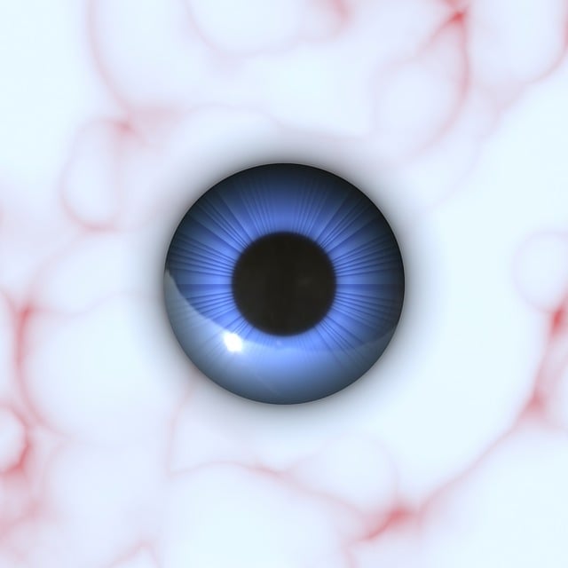 Free anatomy eye eyeball illustration