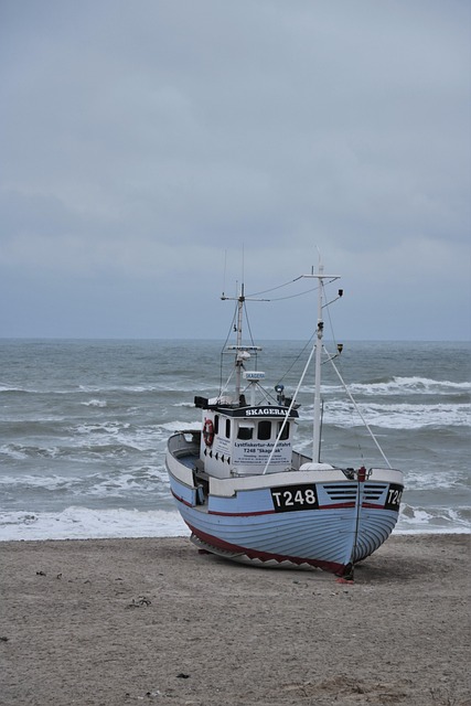 Skib, Hav, Strand, Båd, Bølge, Insekt