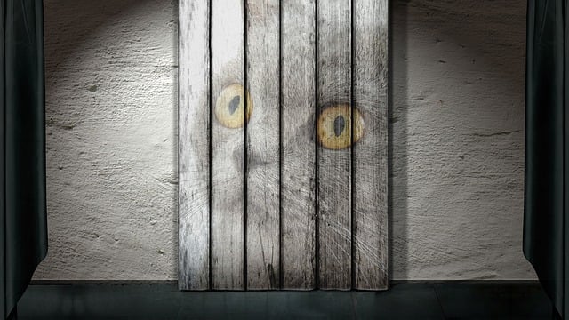 Free cat pet stage illustration