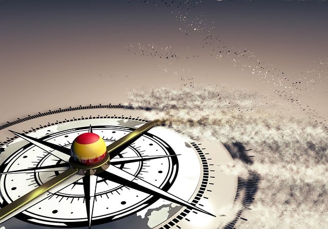 Free rose winds coordinates illustration