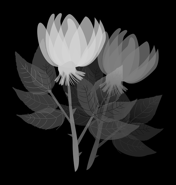 Free flowers floral flowery illustration