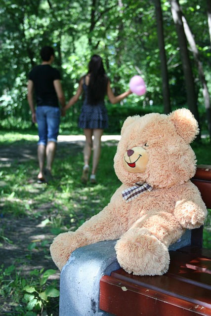 Free Childhood Goes Away Maturation photo and picture