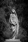 statue, tapeworm, solo