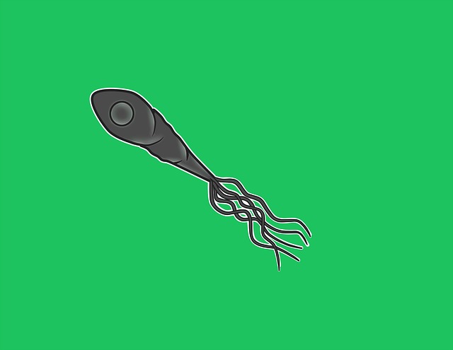 Free Tetano Bacterium illustration and picture