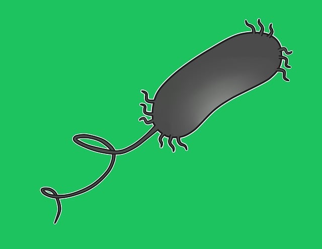 Free Pseudomonas Aeruginosa Bacterium illustration and picture