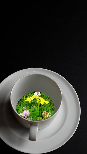Kaffeetasse, Blümchenkaffee, Tasse