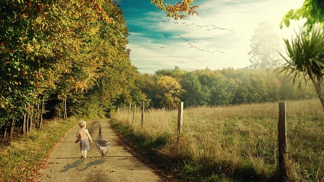 Free photo manipulation digital art nature illustration