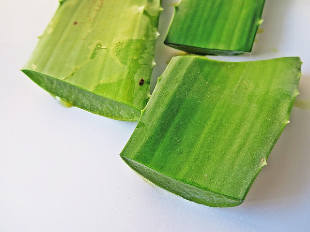 2+ Free Aloin & Aloe Vera Images - Pixabay