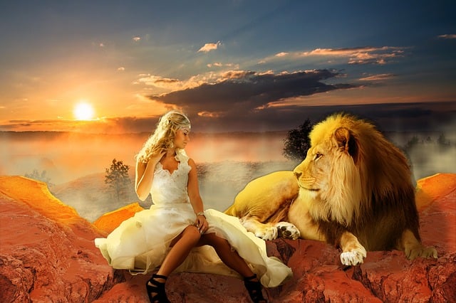 Free lion animal jungle illustration