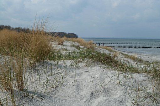 Free Baltic Sea Nature photo and picture