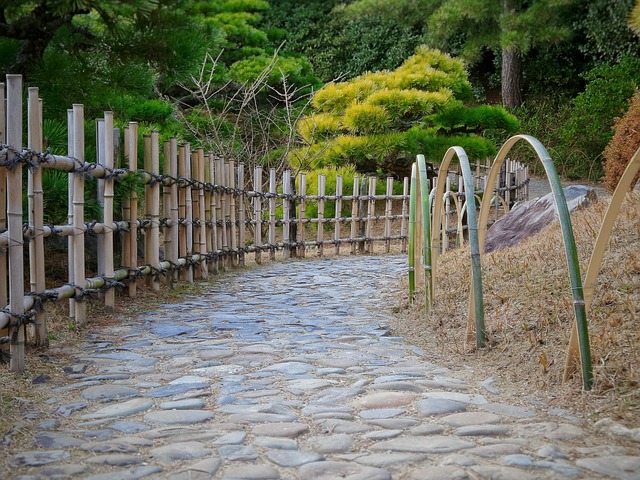 Free Japanese Garden photo and picture