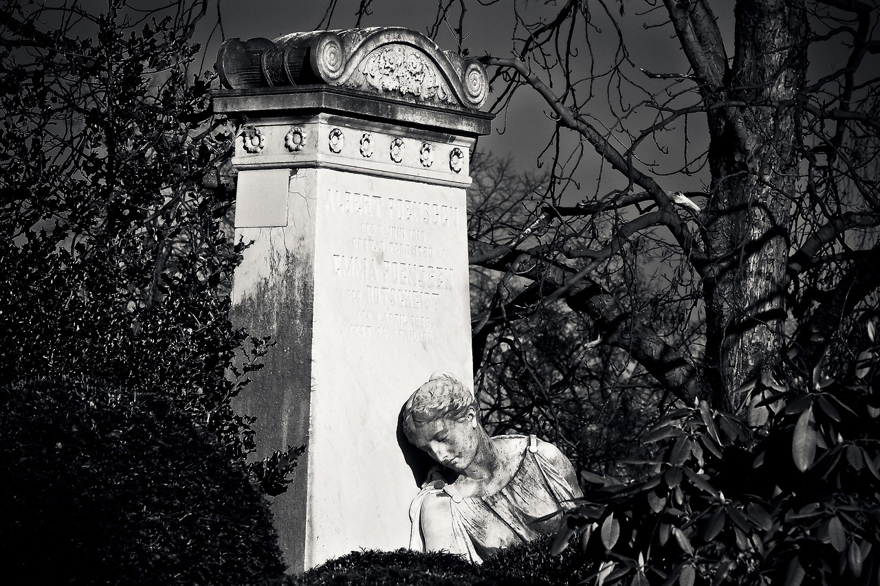 https://cdn.pixabay.com/photo/2017/02/04/12/50/cemetery-2037273_1280.jpg
