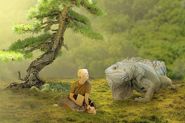 Free lizard animal reptile illustration