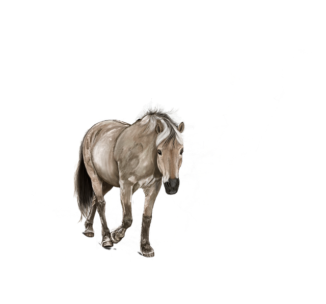 Free digital drawing art digital painting illustration