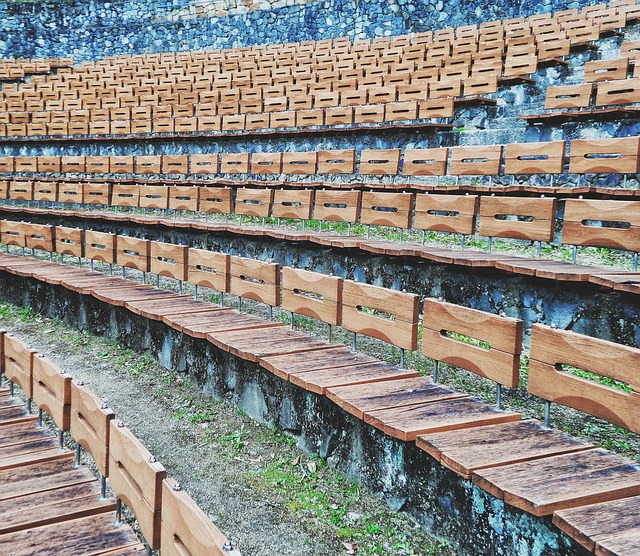Free Seat Theater photo and picture