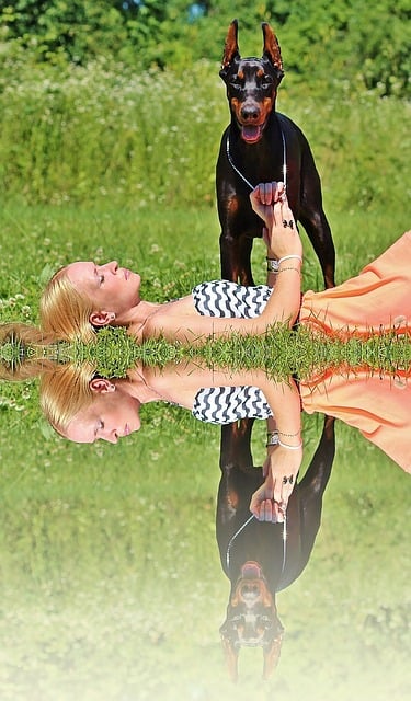 Free blonde woman lies green grass illustration
