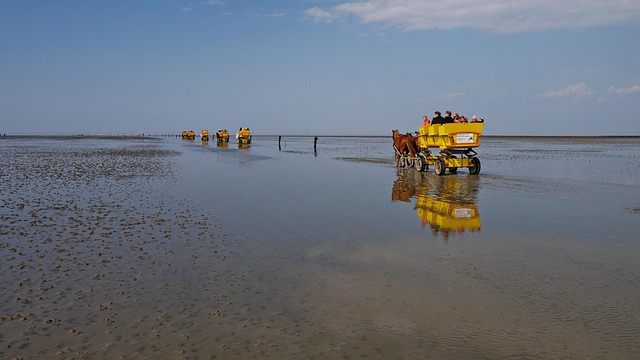 Cuxhaven, Mar De Wadden, Reflujo