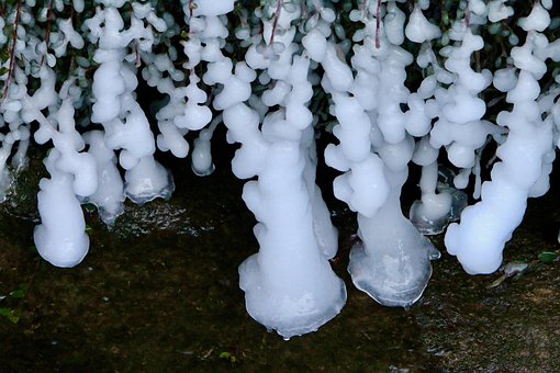 Istap, Frosset, Isnende, Grene, Bæk