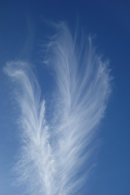Free Cloud Heaven photo and picture