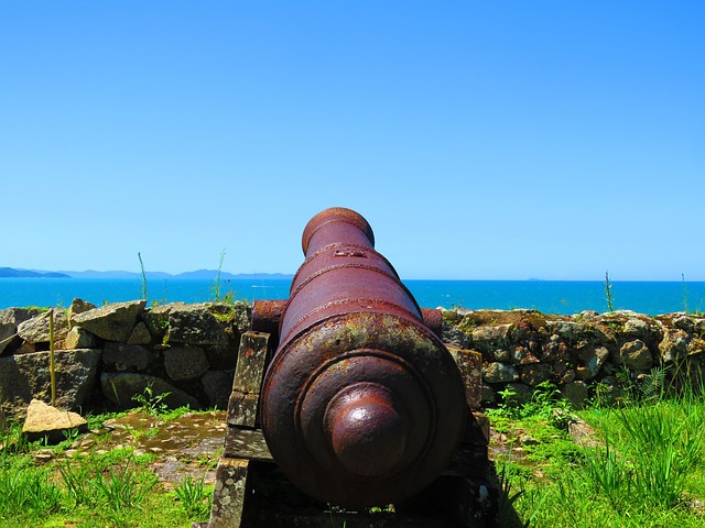 Free Strong Cannon photo and picture