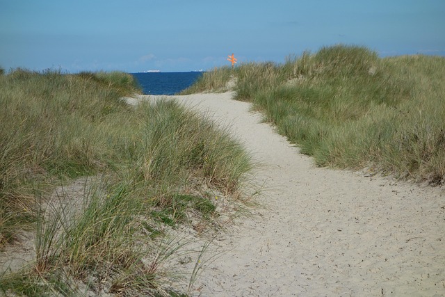 Free Sand Road Dune photo and picture