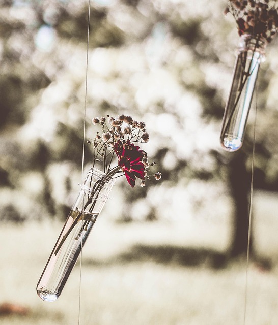 Free Romanticism Poetry photo and picture