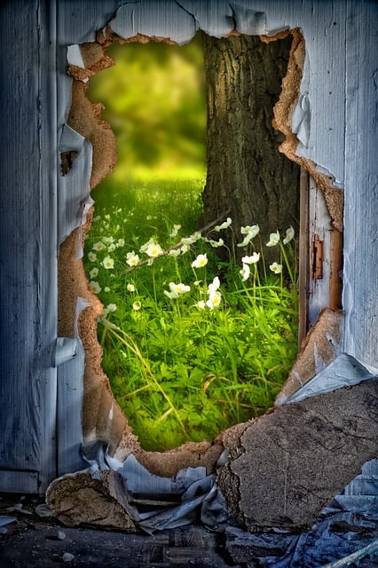Free wall hole meadow illustration