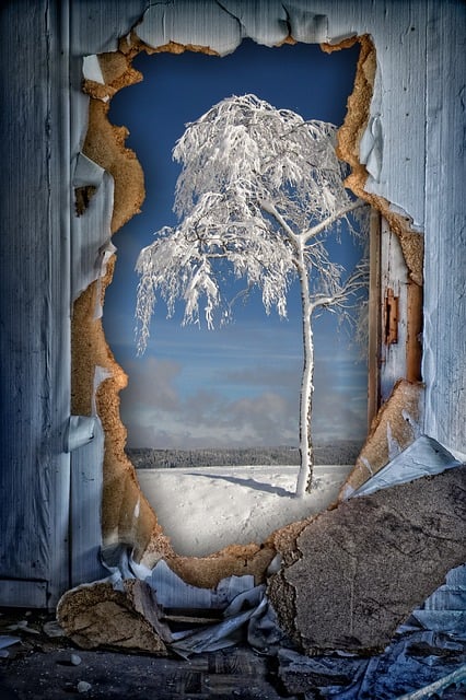 Free winter tree wall illustration