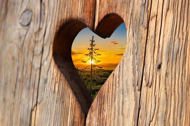 Free heart wood love illustration