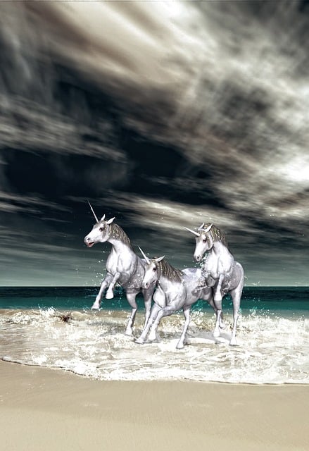Download free HD stock image of Unicorn Fantasy Free unicorn fantasy fairy illustration