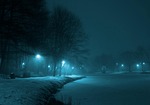 park, night, winter
