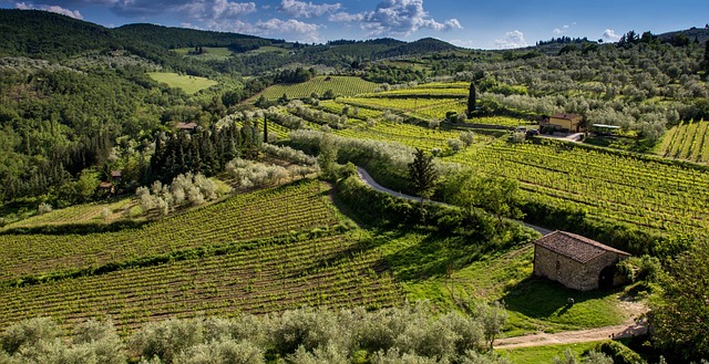 Tuscany, Italien, Landskab, Ferie