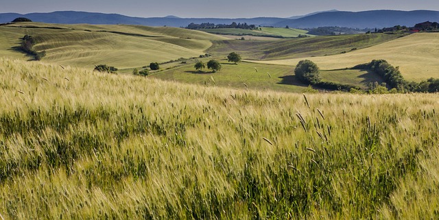 Tuscany, Italien, Landskab, Ferie