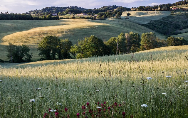 Tuscany, Italien, Landskab, Ferie