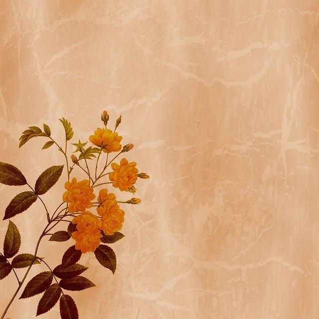 Free background scrapbooking texture illustration