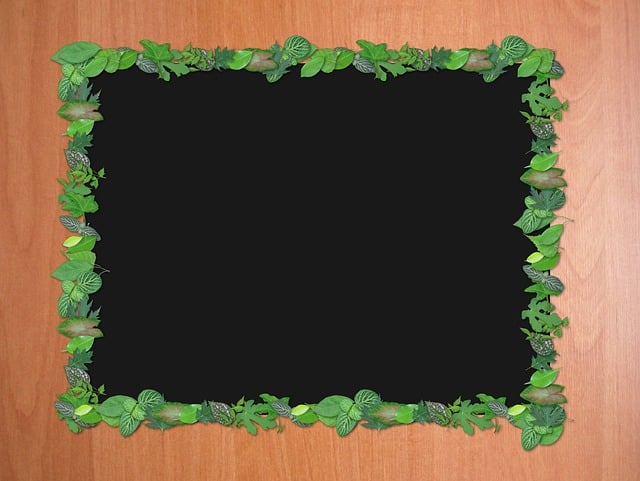 Free frame the background board illustration
