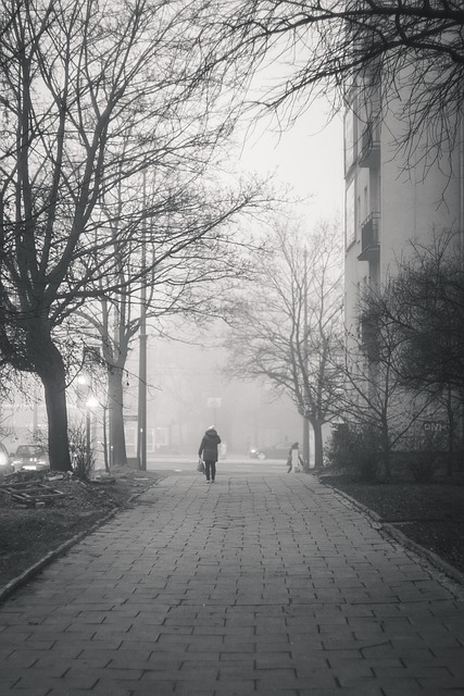 Free Smog City photo and picture
