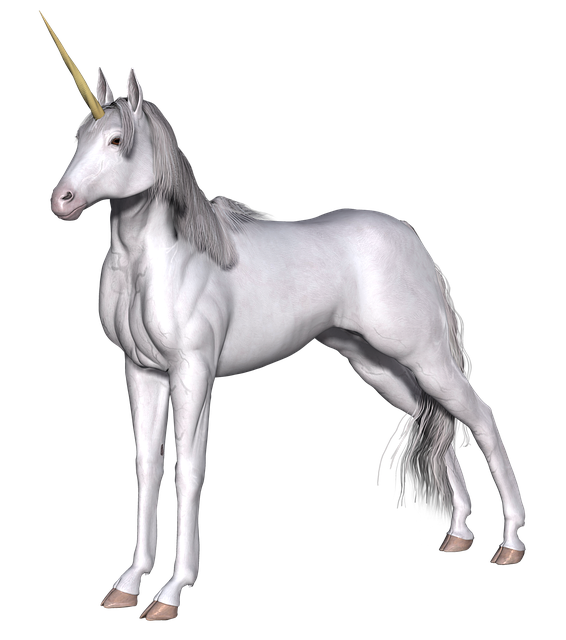 Einhorn, Fantasie, Fee, Geschichte, Weiß