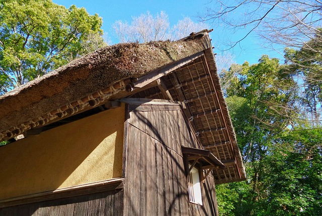Free Japanese Traditional photo and picture