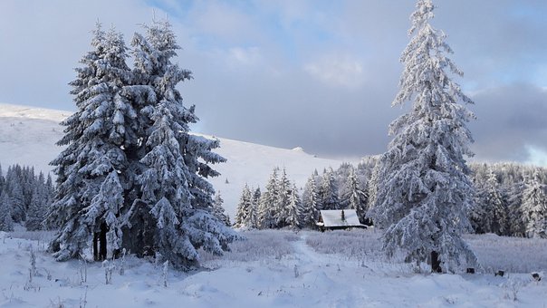 Den Lille Hytte, Sommerhus, Hytte