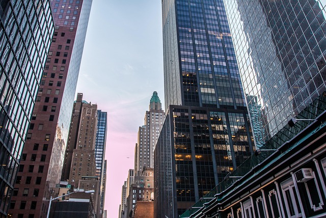 Free New York America photo and picture