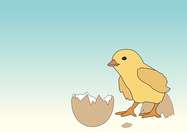 Free chick nature egg illustration