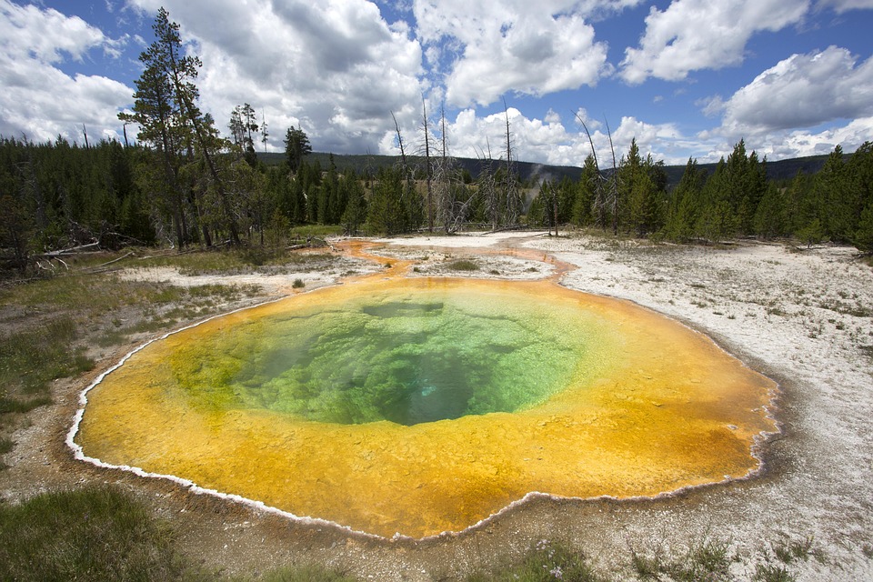 Image for Yellowstone National Park, USA