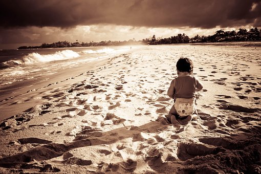 Free Beach Sunset photo and picture