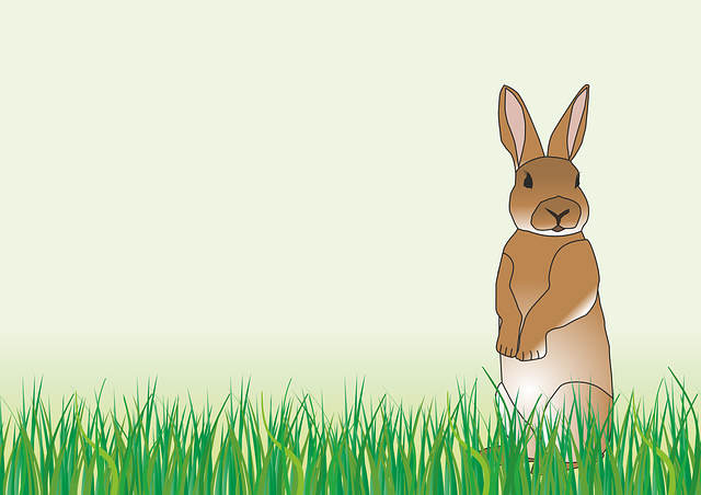 Free rabbit easter spring illustration