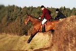 horse, jump, equestrian