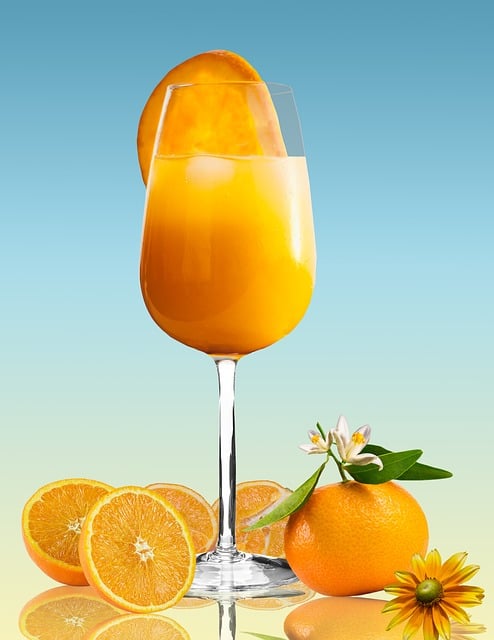 Free food meal drink illustration